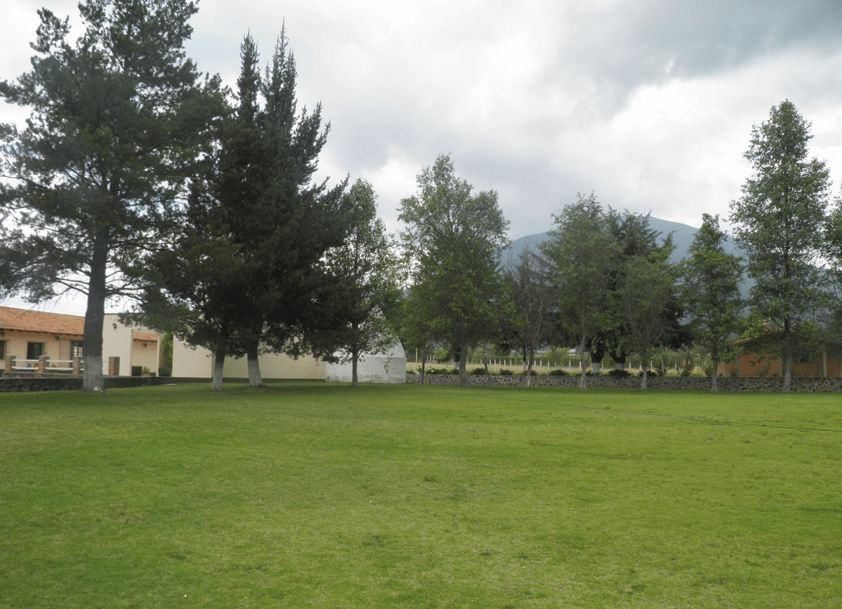 Áreas verdes de Rancho Los Leones a las faldas del cerro Xocotépetl
